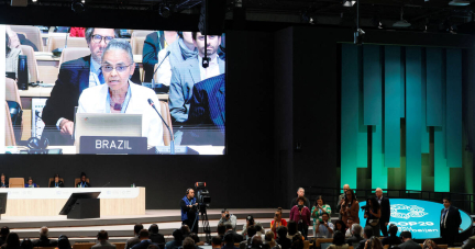 COP29 : trois bonnes nouvelles pour se consoler d’un accord au goût amer