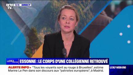 Corps d'une enfant de 11 ans retrouvé en Essonne: l'homme placé en garde à vue connu défavorablement des services de police