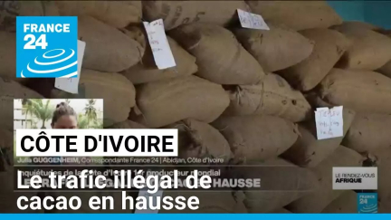 Côte d'Ivoire : le trafic illégal de cacao en hausse • FRANCE 24