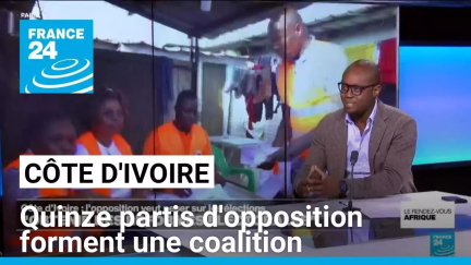 Côte d'Ivoire : quinze partis d'opposition forment une coalition • FRANCE 24