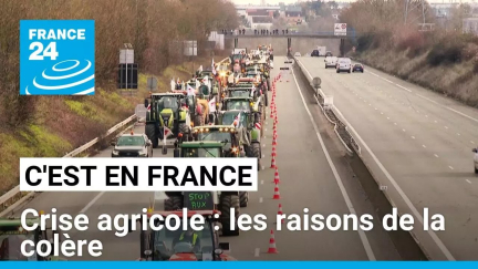 Crise agricole en France : les raisons de la colère • FRANCE 24