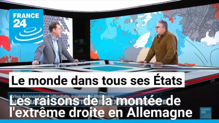 Crise économique, attentats, ingérence… les raisons de la montée de l'extrême droite en Allemagne