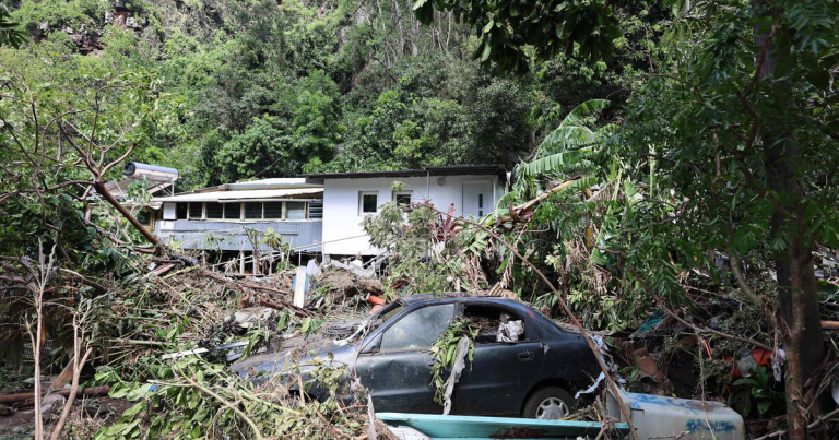 Cyclone à la Réunion : l’état de catastrophe naturelle reconnu dans les 24 communes de l’île