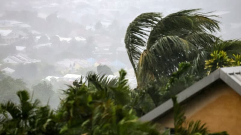 Cyclone Garance à La Réunion: une femme d'une cinquantaine d'années est morte à Saint-Denis