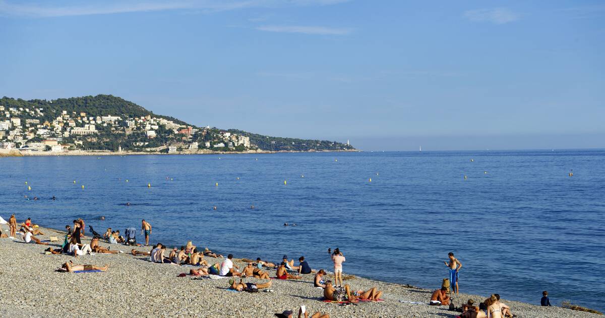 Dans la baie de Nice, un projet d’aire marine protégée accueilli avec espoir et recherche de garanties