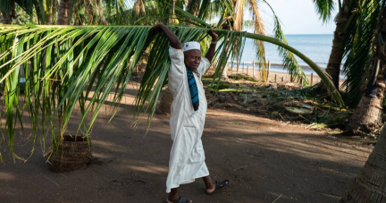 Dans le sud de Mayotte, «Chido nous avait déjà mis un pied à terre, Dikeledi a fini le travail»