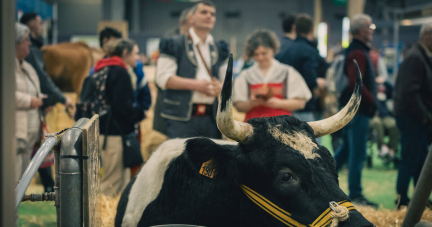 Dans les coulisses de Salon de l’agriculture, des négociations commerciales cruciales