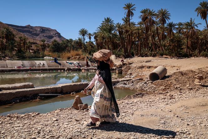 Dans les pays du Sud, trois projets pour adapter le système agricole aux enjeux climatiques