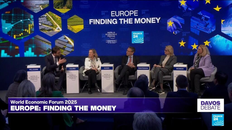 Davos 2025: How can Europe find the money to achieve its goals?