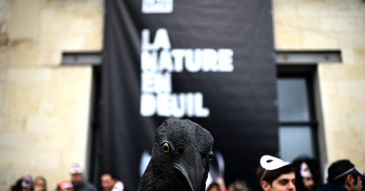 De Strasbourg à Rochefort, la LPO porte le deuil de la nature et alerte sur sa «disparition tragique»