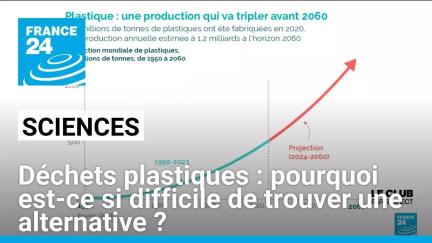 Déchets plastiques : pourquoi est-ce si difficile de trouver une alternative ? • FRANCE 24