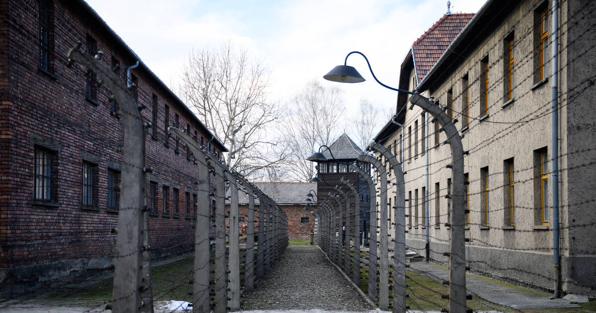 Défendre la mémoire d’Auschwitz pour les combats d’aujourd’hui