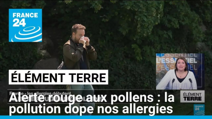 Demain tous allergiques? Alerte rouge au pollens dans le sud de la France • FRANCE 24