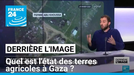 Derrière l'image : quel est l'état des terres agricoles à Gaza ? • FRANCE 24