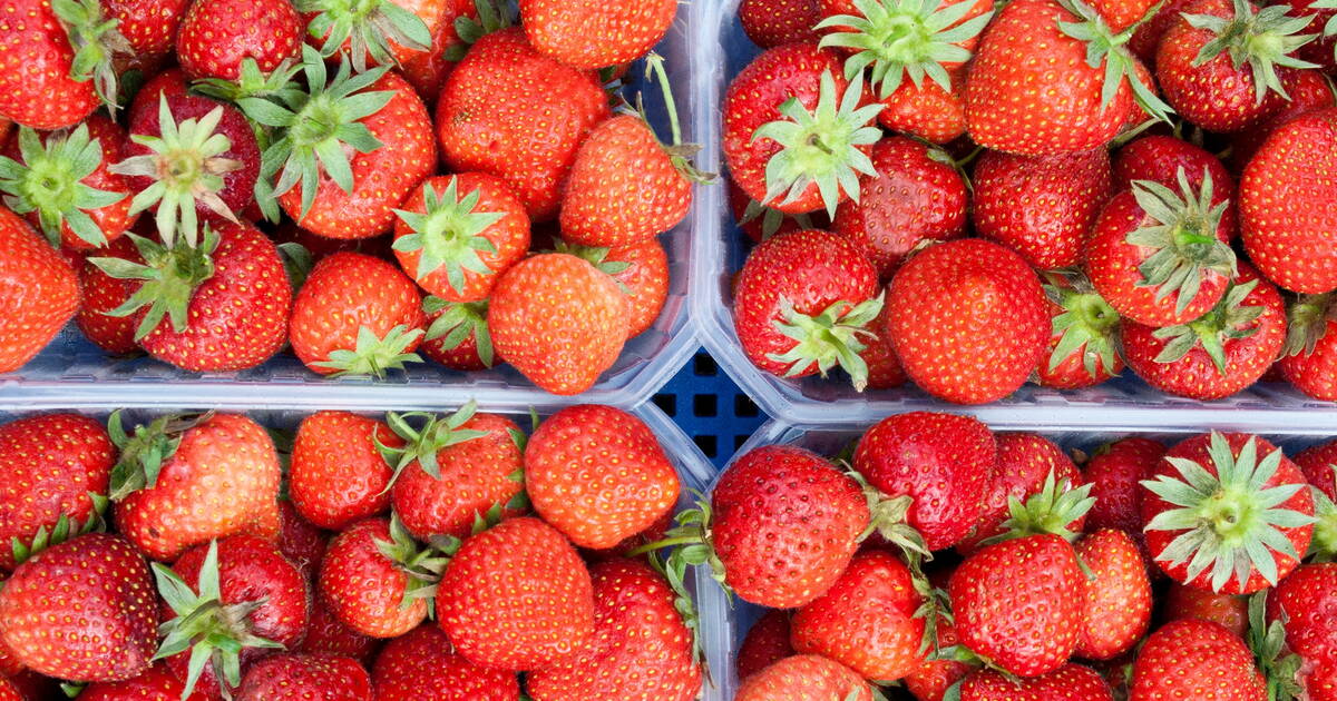 Des émojis fraises inondent l’Instagram de Michel-Edouard Leclerc pour dénoncer la présence du fruit dans ses supermarchés en hiver