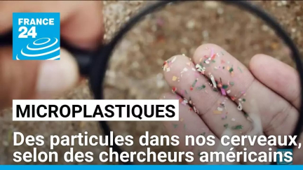 Des microplastiques se trouvent dans nos cerveaux, selon des chercheurs américains • FRANCE 24