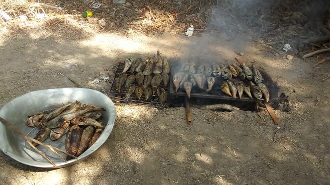 Des pêcheries vieilles de 4 000 ans découvertes dans les basses terres de Belize