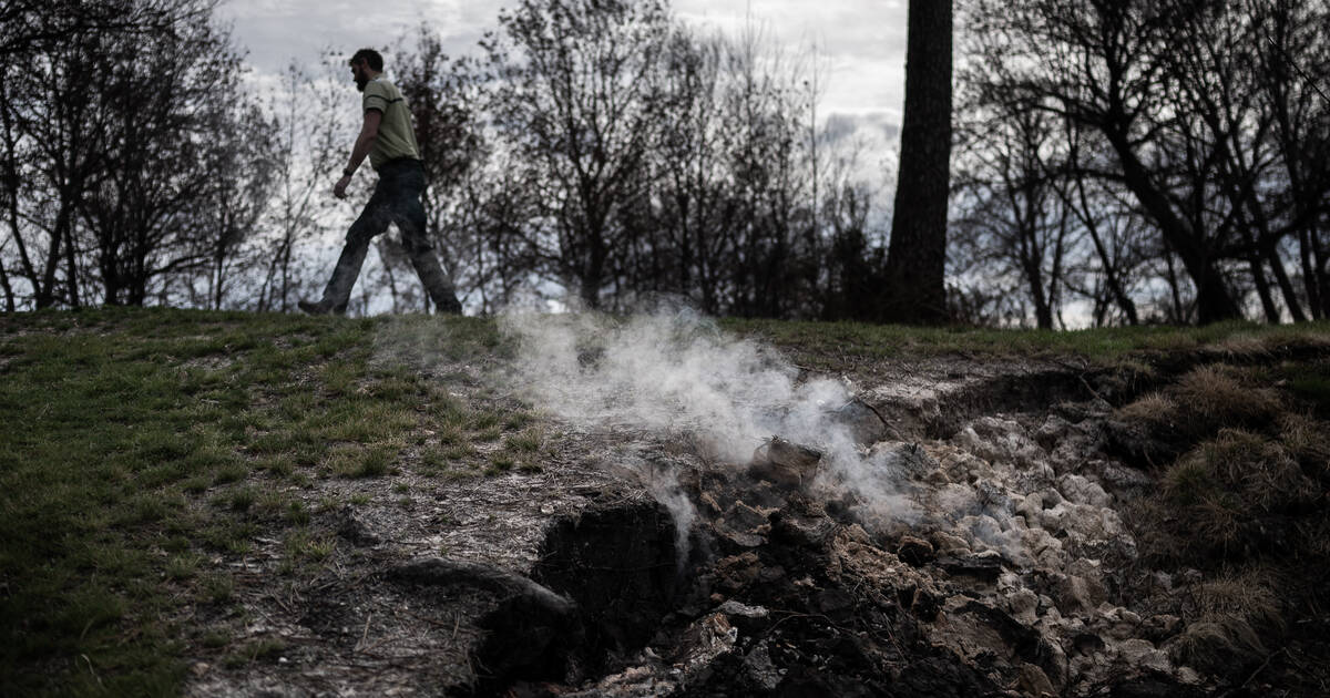 Deux ans et demi après les incendies en Gironde, les derniers panaches de fumée ont enfin disparu