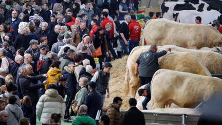 DIRECT. Le Salon de l'agriculture ouvre ce samedi, Emmanuel Macron attendu pour l'inauguration