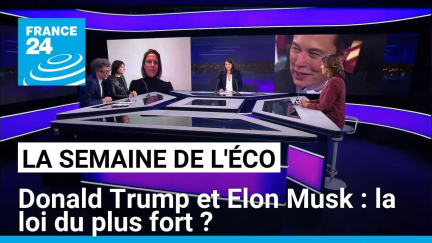 Donald Trump et Elon Musk : la loi du plus fort ? • FRANCE 24