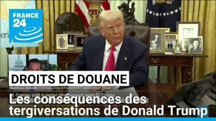 Droits de douane : les conséquences des tergiversations de Donald Trump • FRANCE 24