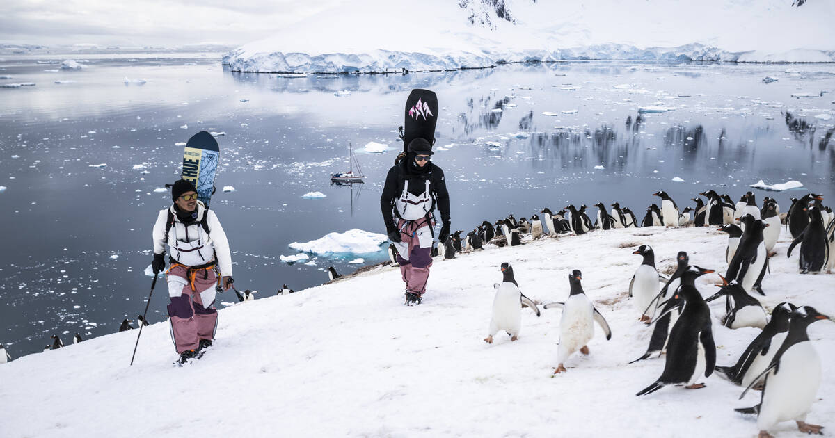 Du ski sur les icebergs de l’Antarctique – Libération