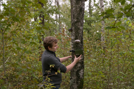 Écouter la forêt : du Gâtinais au Jura, des micros pour mieux appréhender la biodiversité