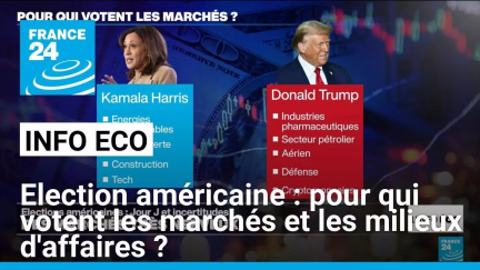 Election américaine : pour qui votent les marchés et les milieux d'affaires ? • FRANCE 24