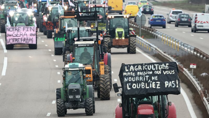 Élections agricoles: les premiers résultats attendus ce jeudi