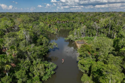 En Amazonie brésilienne, des images inédites d’un peuple autochtone « non contacté »