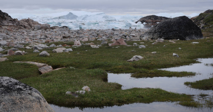 En Arctique, la toundra n’est plus un puits de carbone