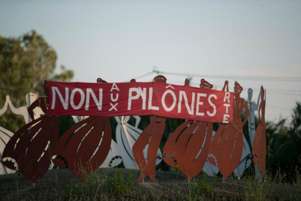 En Camargue, le tracé de la ligne à très haute tension vers Fos-sur-Mer unit contre lui élus, agriculteurs, écologistes et acteurs économiques