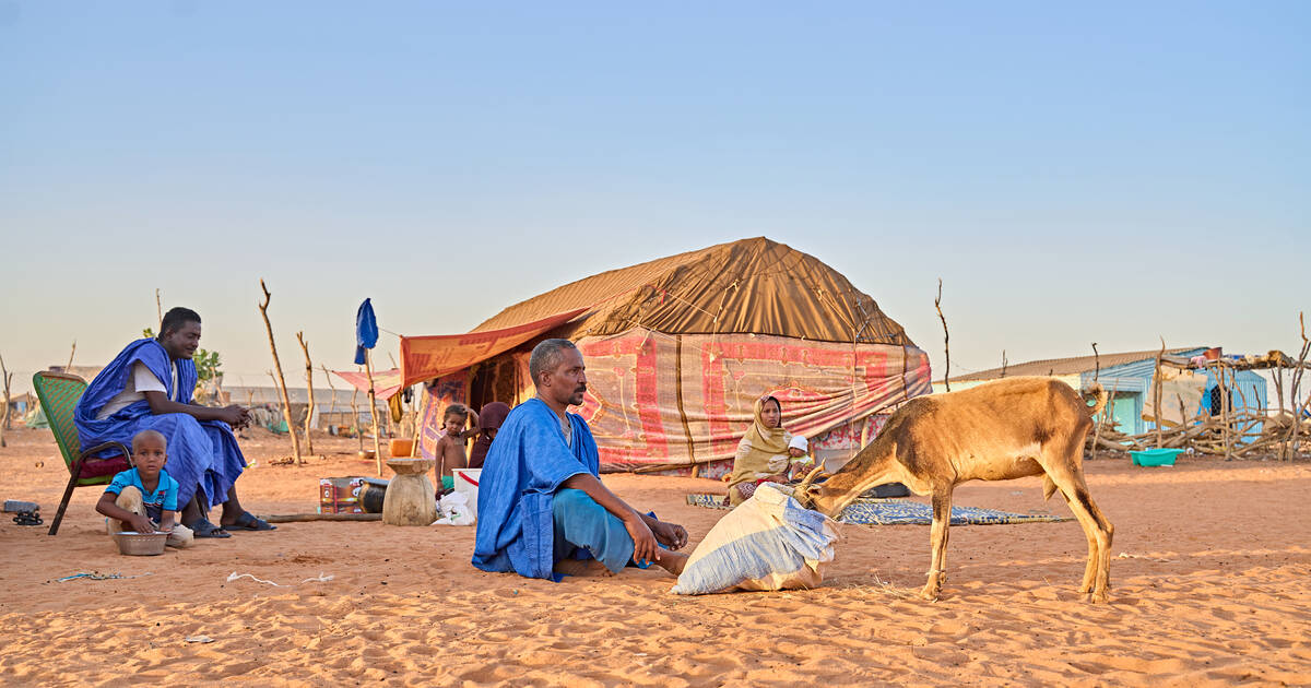 En Mauritanie, le «casse-tête» humanitaire de l’accueil des réfugiés et de leur bétail