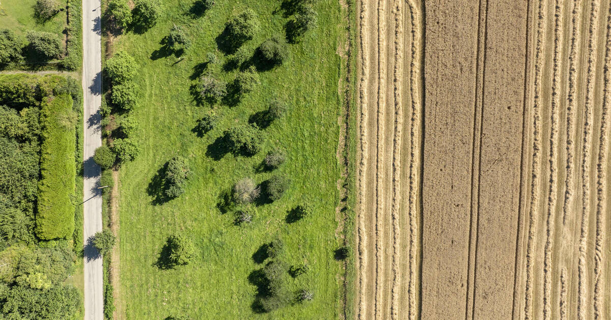 Environnement : l’offensive de la droite contre les agences et les normes vertes