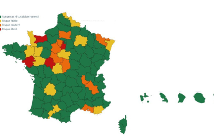 Épidémie équine : Une maladie dangereuse sévit dans plusieurs départements