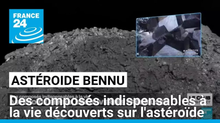 Espace : des composés indispensables à la vie découverts sur l'astéroïde Bennu • FRANCE 24