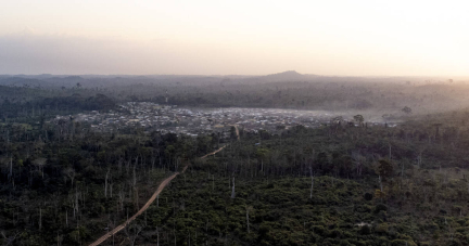 Europe : au Parlement, la loi contre la déforestation affaiblie par une alliance entre la droite et l’extrême droite