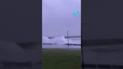 🌪️ La tempête #Eowyn frappe l’#Irlande et le #RoyaumeUni • FRANCE 24