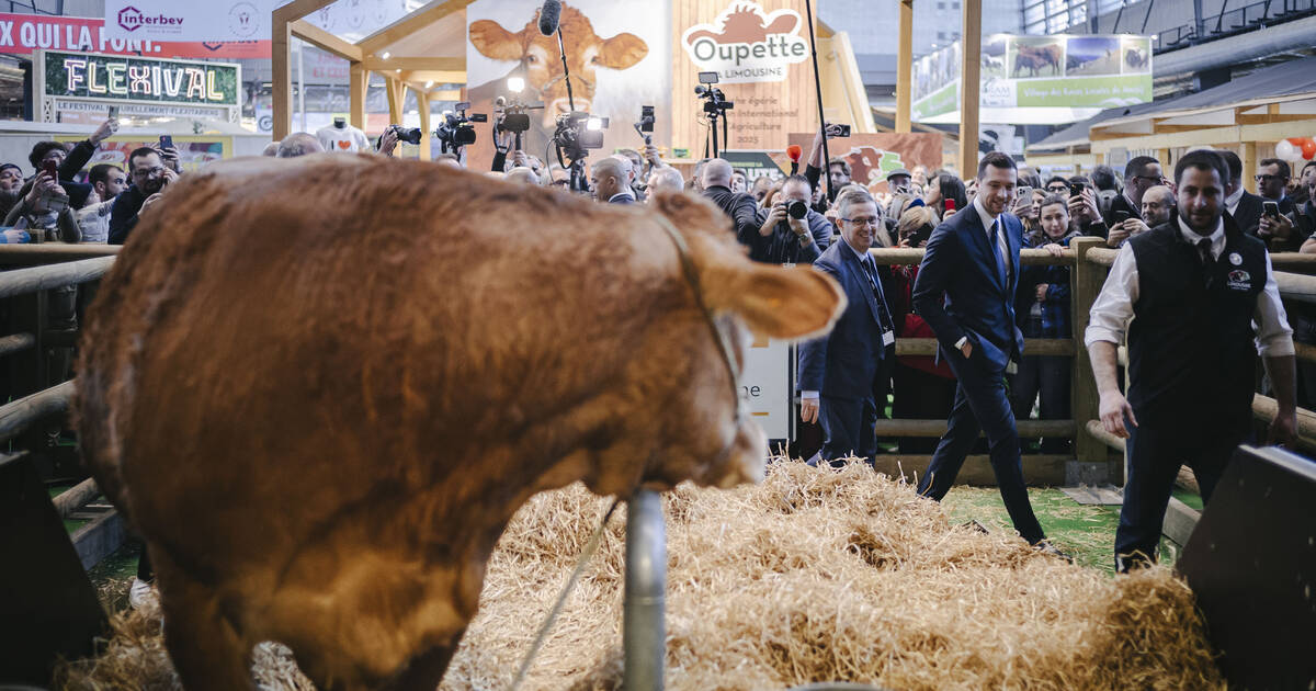 Face aux syndicats agricoles, le RN entre drague et crispation