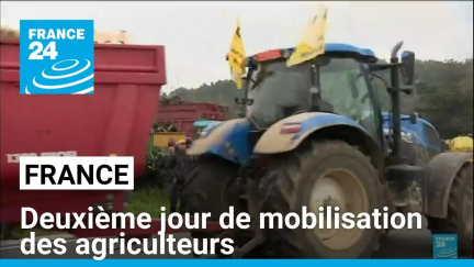 France : la Coordination rurale veut durcir la mobilisation des agriculteurs • FRANCE 24