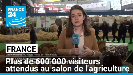 France : Plus de 600 000 visiteurs attendus au salon de l'agriculture • FRANCE 24