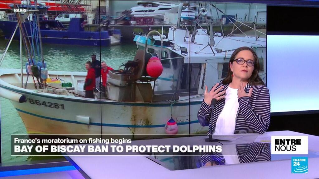 France's Bay of Biscay fishing ban aims to save dolphins