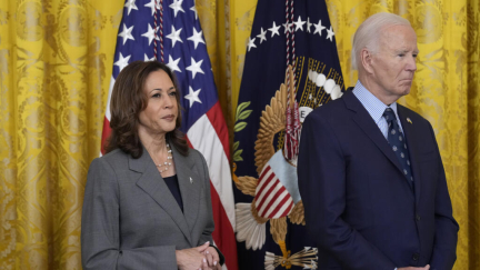 'Garbagegate': Harris sidelines Biden over Trump supporters gaffe