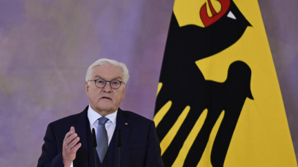 German president dissolves parliament, sets early election date for February