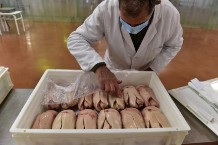 Grippe aviaire : la filière foie gras joue gros à Noël