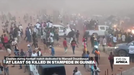 Guinea : at least 56 killed in stampede during football match