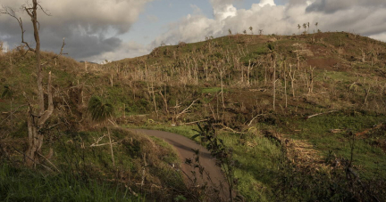 «Il faudra au moins quatre à cinq ans avant de pouvoir travailler sur mon exploitation» : à Mayotte, le désarroi des agriculteurs