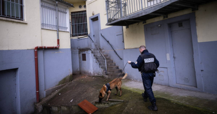 «Il faut taper au portefeuille» : la police se dote d’une brigade d’enquêteurs pour lutter contre la corruption liée au trafic de drogue