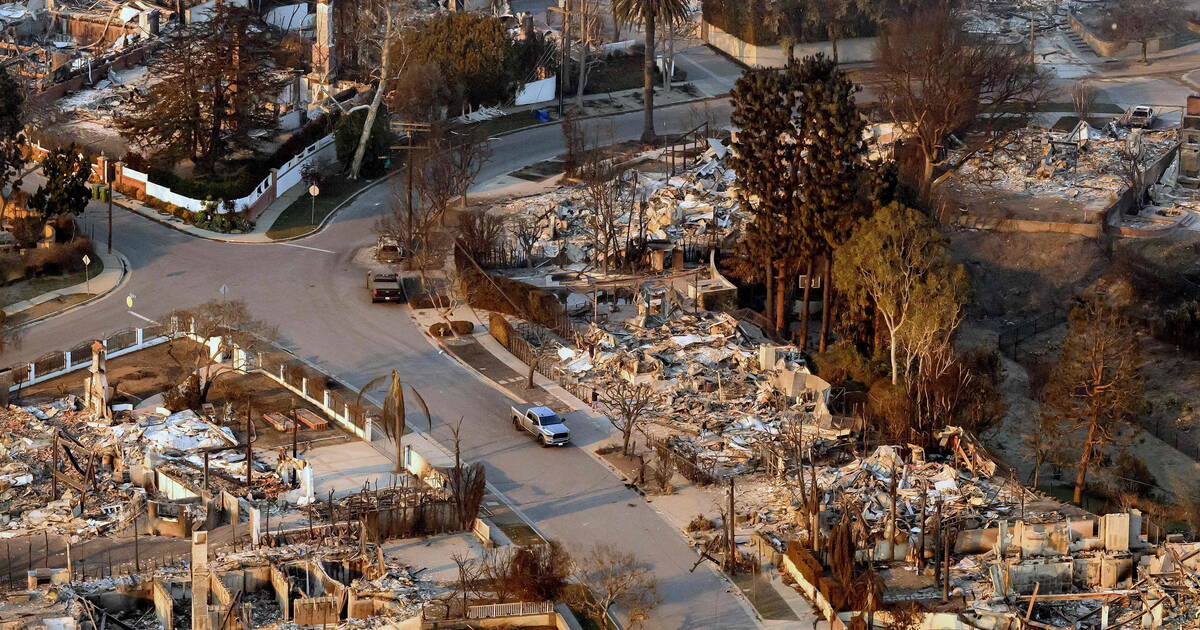 Incendies à Los Angeles : les constructions en bois, bouc émissaire des négligences d’urbanisme