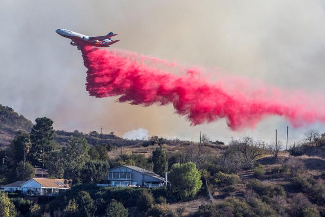 Incendies à Los Angeles : l’impact majeur sur l’eau, l’air, la faune et la flore